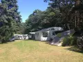 Caravaning w Juracie: kamper, namiot i samochody na zielonym polu pod drzewami.