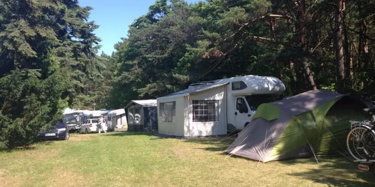 Caravaning w Juracie: kamper, namiot i samochody na zielonym polu pod drzewami.