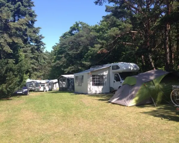 Caravaning w Juracie: kamper, namiot i samochody na zielonym polu pod drzewami.