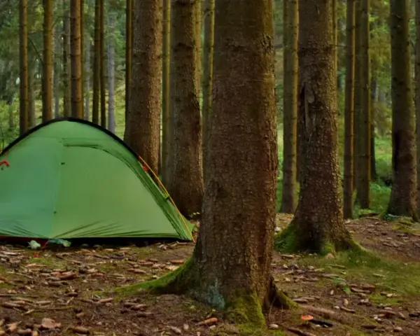 Zielnieńki namiot i rowery w lesie. Idealne miejsce, gdzie pod namiot na dziko w Polsce.