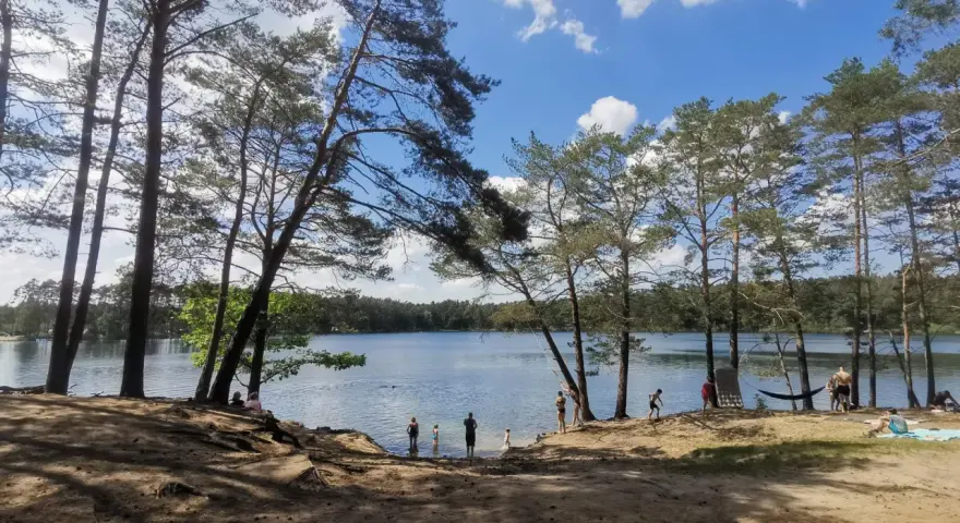 Słoneczny dzień nad srebrnym jeziorem. Ludzie kąpią się i odpoczywają na piaszczystej plaży, otoczonej sosnami.